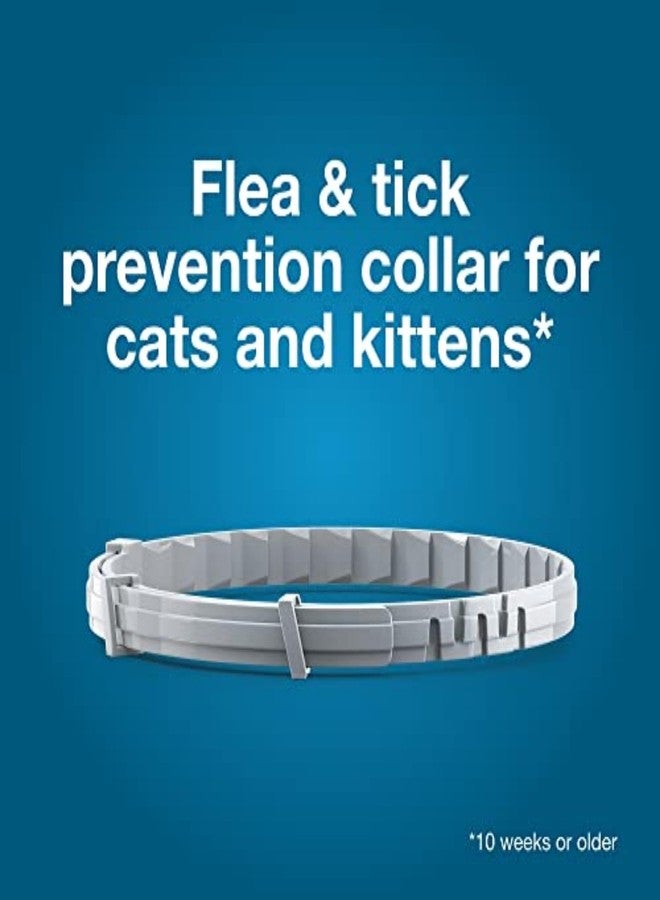 Seresto Cat Vet-Recommended Flea & Tick Treatment & Prevention Collar for Cats, 8 Months Protection | (Pack of 2) - Image 4